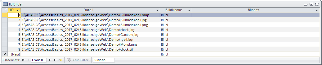 Die Tabelle tblBilder enthält zunächst nur die Pfade zu den Bilddateien im Feld Datei und einen Default-Namen